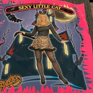 California Costumes Sexy Little Cat Costume